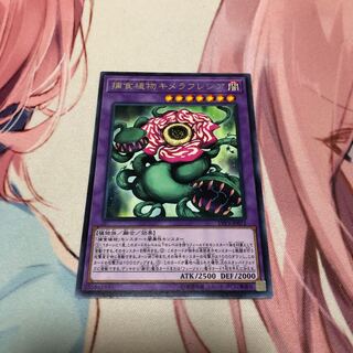 捕食植物キメラフレシア