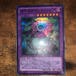 捕食植物キメラフレシア スーパーレア