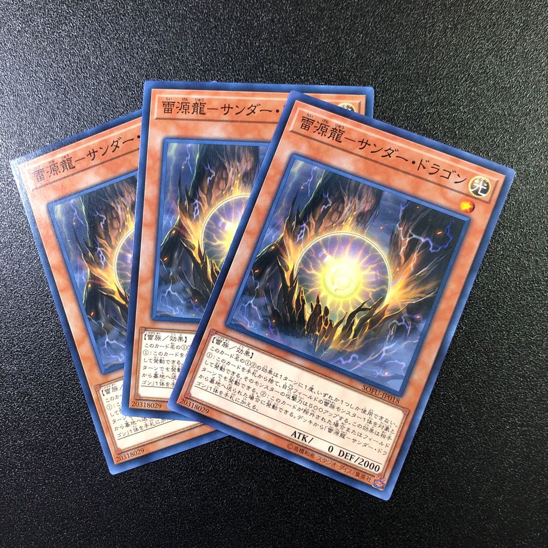 【N】雷源龍-サンダー・ドラゴン【ノーマル】