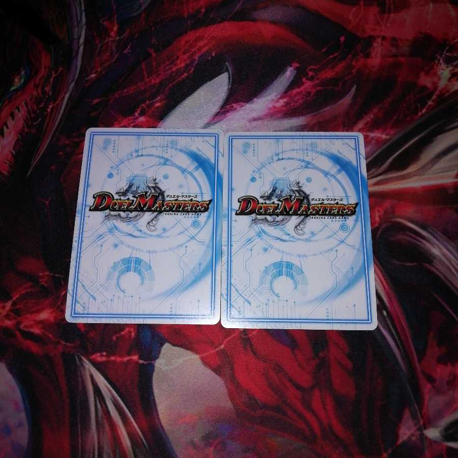 サヴァクティスガンマスター各1セット 1枚