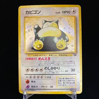 カビゴン めんえき