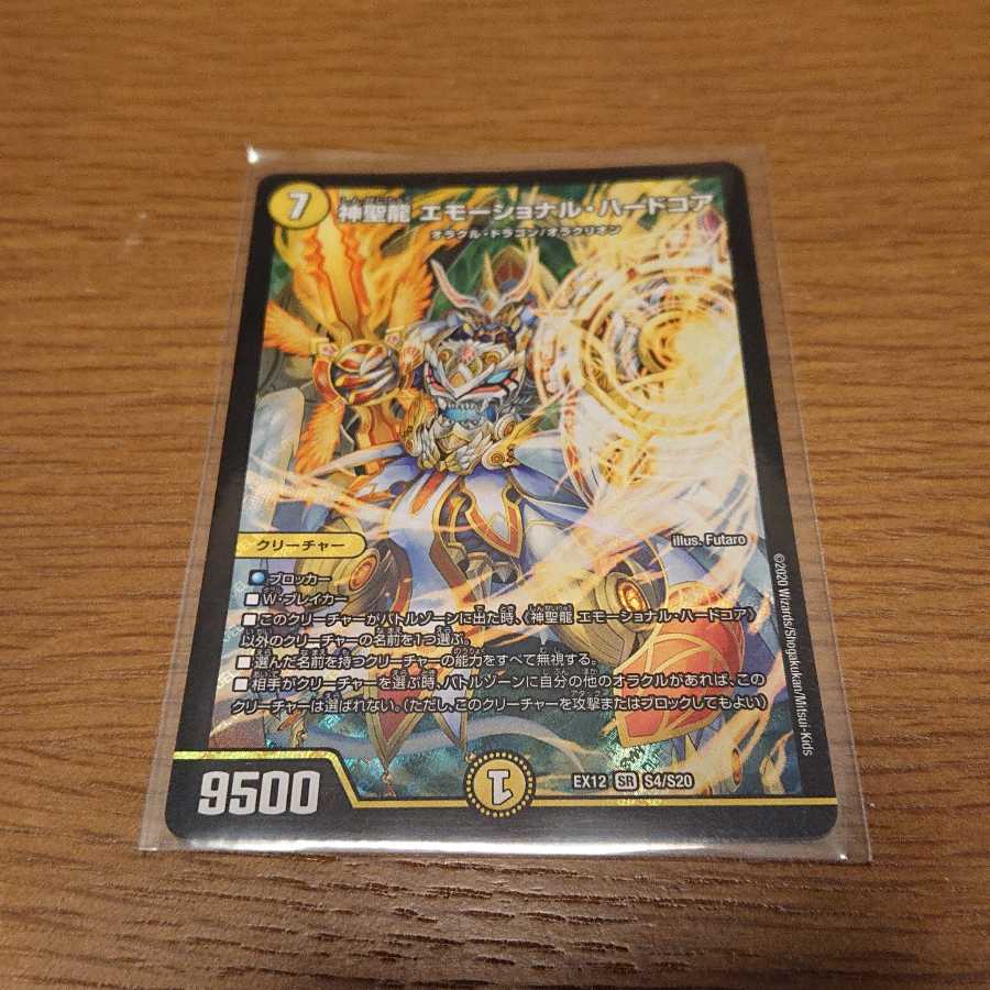 神聖龍 エモーショナル・ハードコア