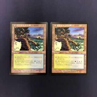 ヤヴィマヤの沿岸 2枚