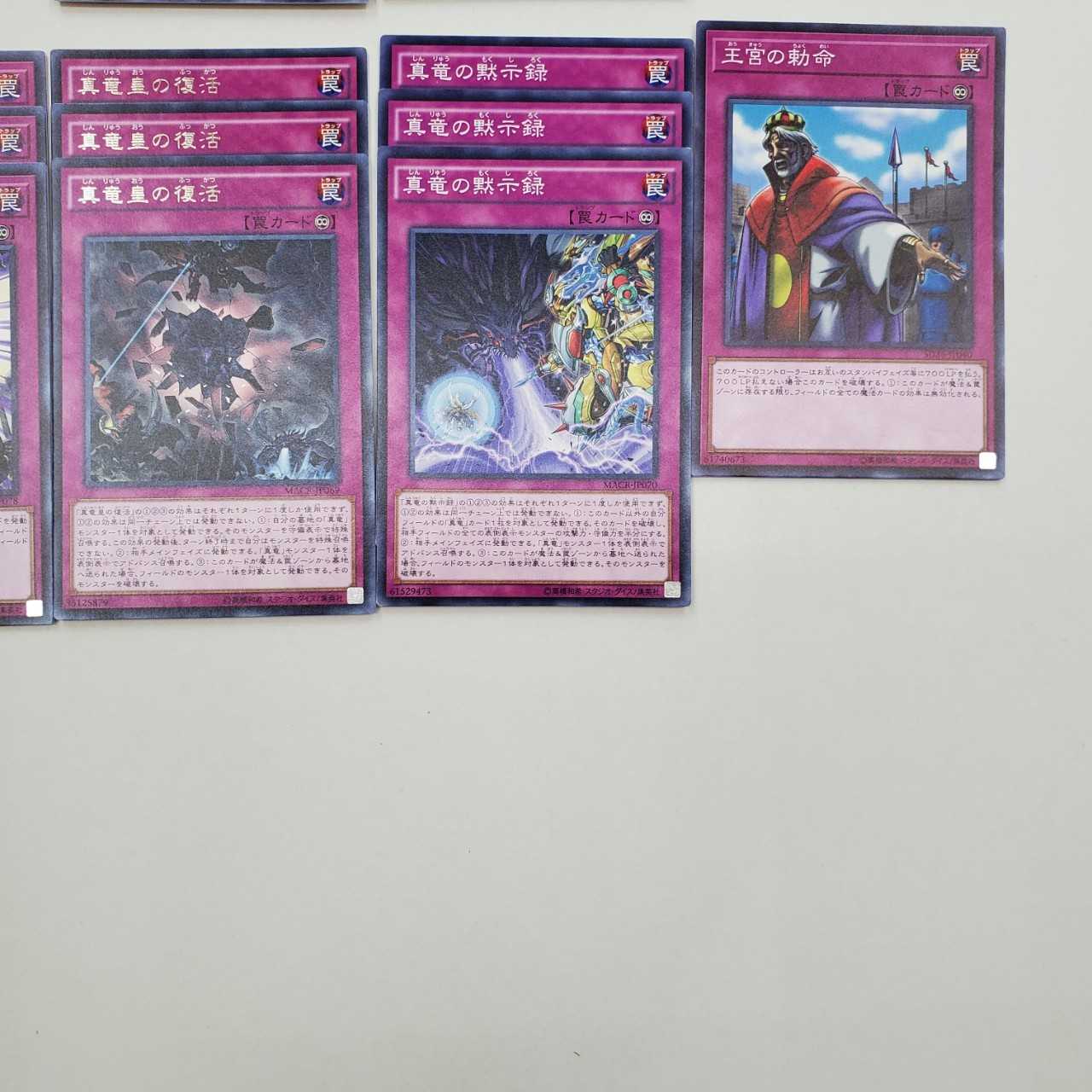 ★真竜デッキ(T0613)