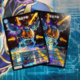 完全不明 ２枚セット