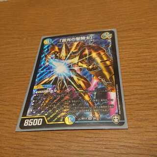 「雷光の聖騎士」