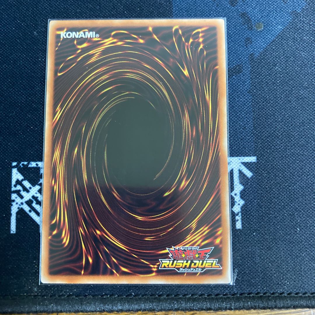 右手に盾を左手に剣を　シークレット