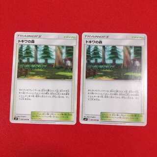 トキワの森 U 2枚セット