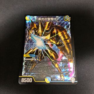 「雷光の聖騎士」