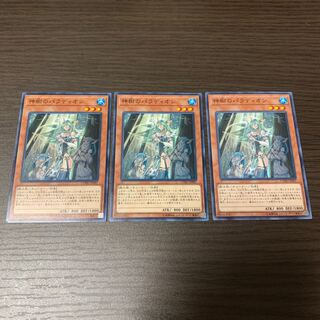 神樹のパラディオン ノーマル　3枚セット