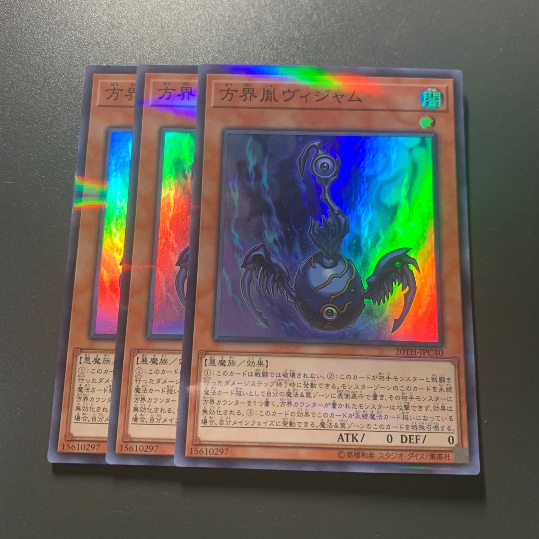 方界胤ヴィジャム