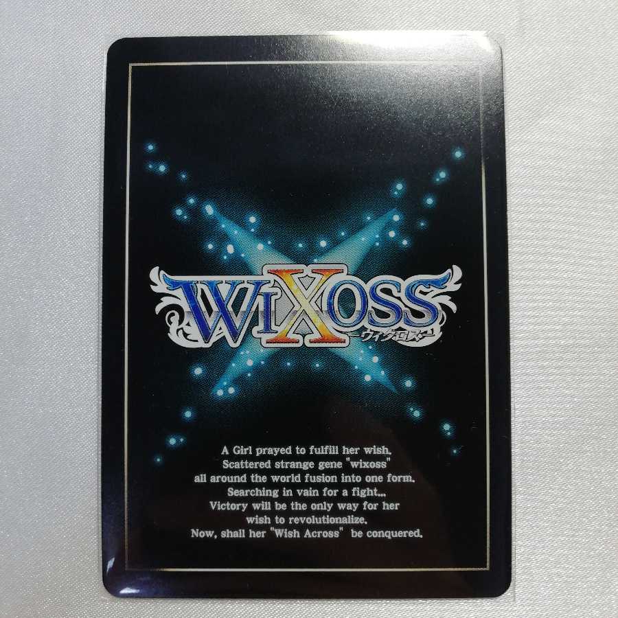 Enigma Aura P-ST WD14-023 Beauty