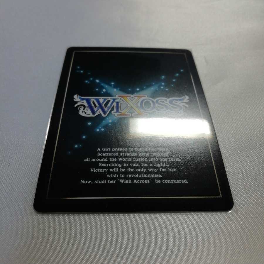 Enigma Aura P-ST WD14-023 Beauty