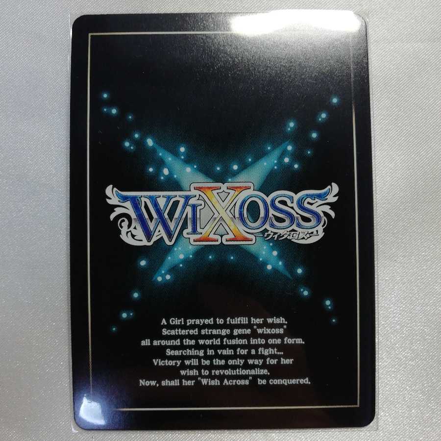 Enigma Aura P-ST WD14-023 Beauty