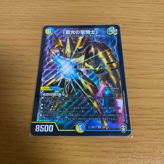 「雷光の聖騎士」