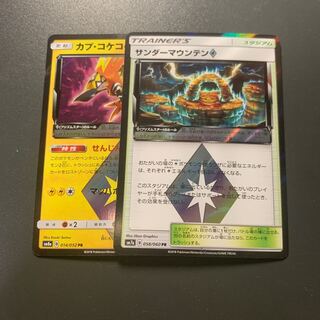 カプ・コケコ◇ サンダーマウンテン