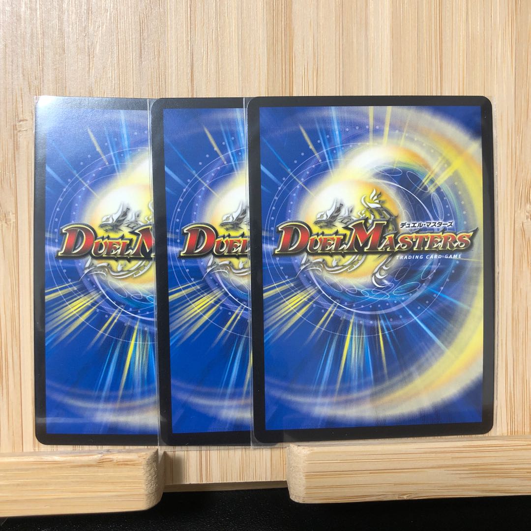 「絶対の楯騎士」