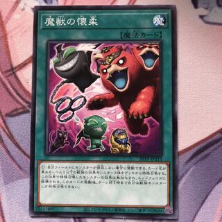 魔獣の懐柔　3枚　専用