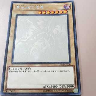 真紅眼の黒竜 ホロ