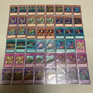 遊戯王 捕食植物 デッキ