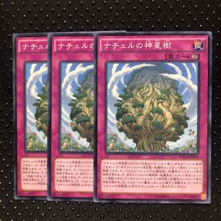 ナチュルの神星樹 ノーマル　3枚　マホ子