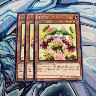 占術姫コインノーマ レア