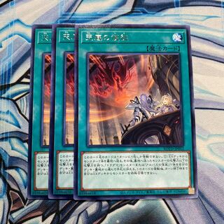 天底の使徒 レア