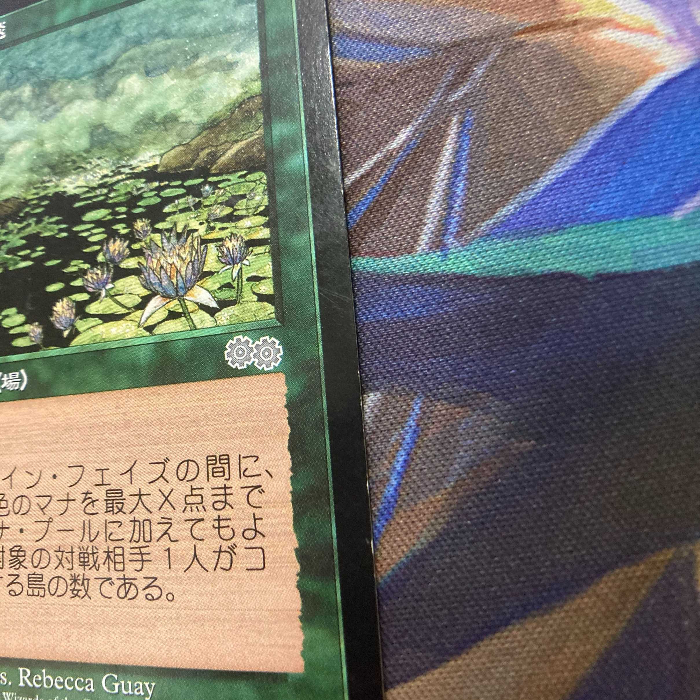 MTG「USG」花の絨毯/Carpet of Flowers　日本語１枚