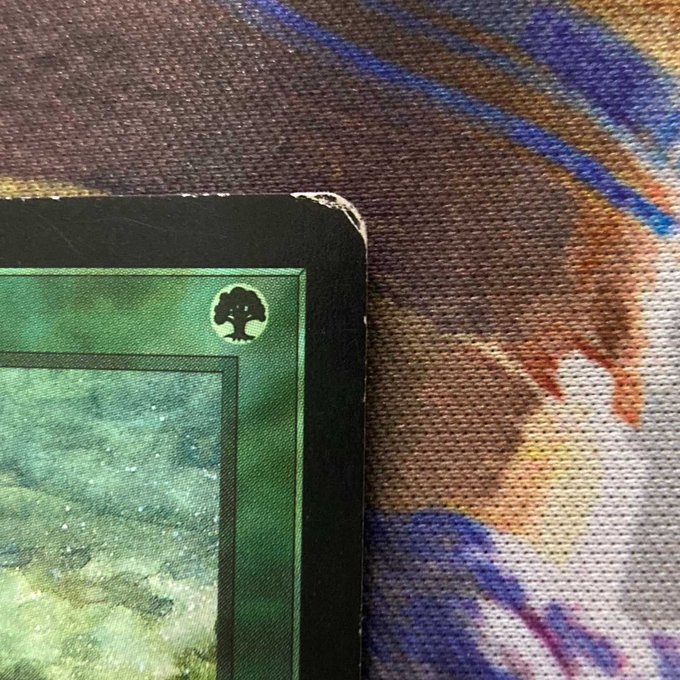 MTG「USG」花の絨毯/Carpet of Flowers　日本語１枚②