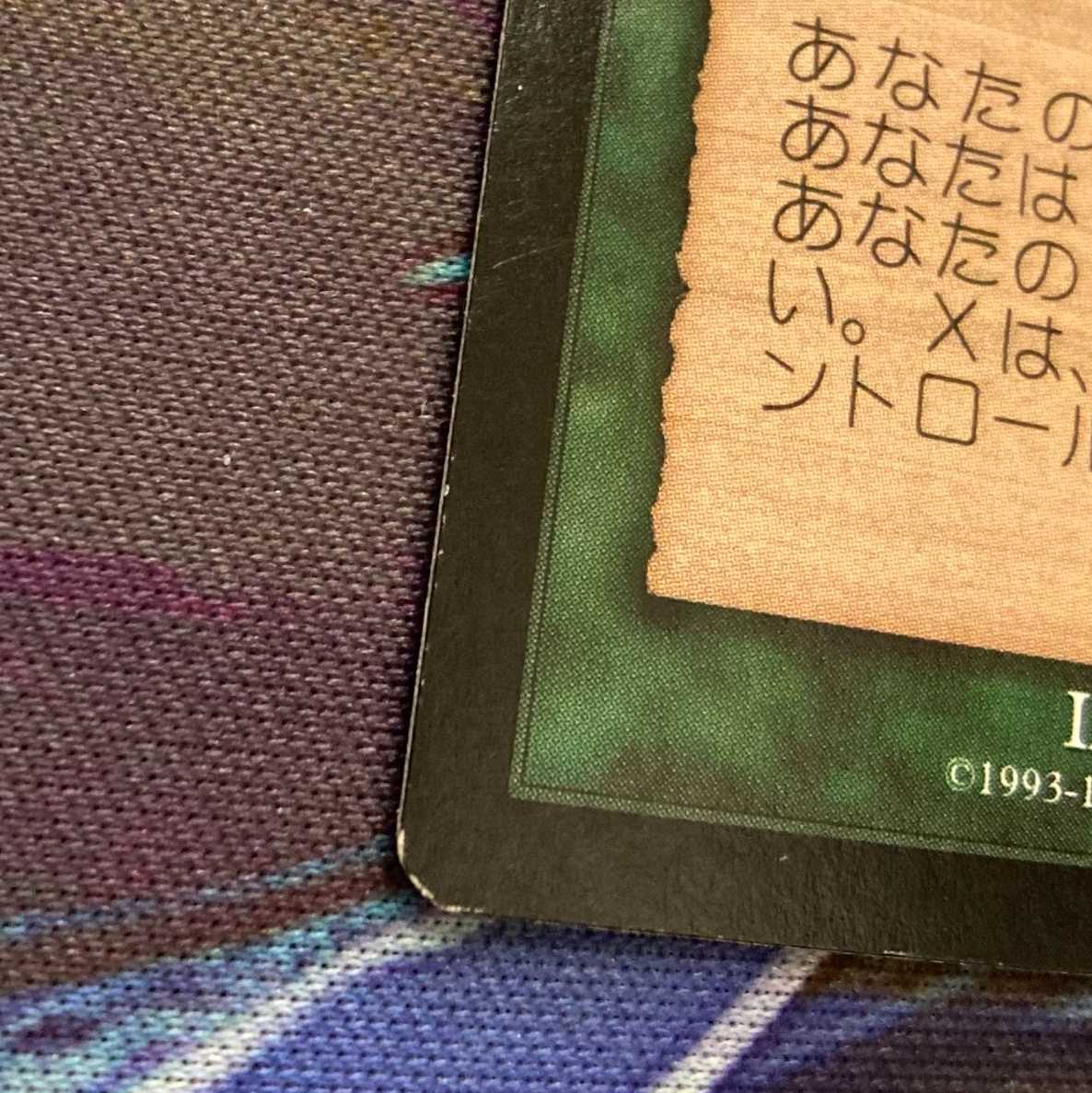 MTG「USG」花の絨毯/Carpet of Flowers　日本語１枚②