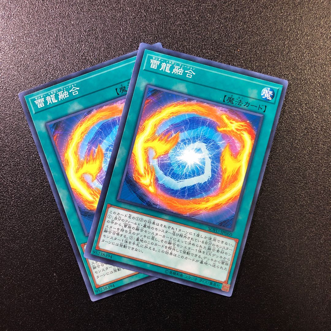 【N】雷龍融合【ノーマル】