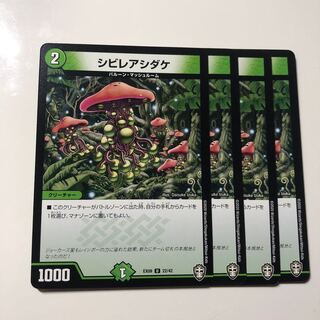 シビレアシダケ