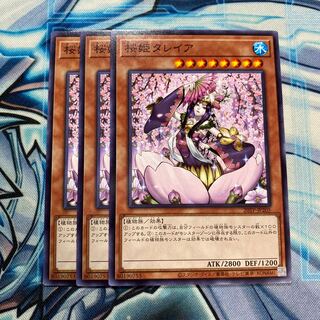 桜姫タレイア ノーマル 1枚