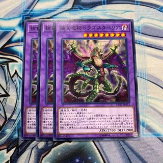 捕食植物ドラゴスタペリア ノーマル