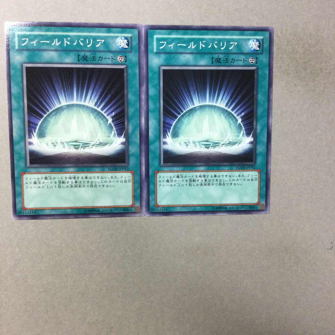 フィールドバリア　２枚