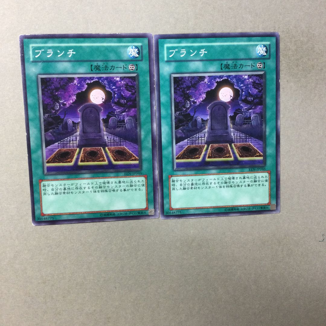 ブランチ　２枚