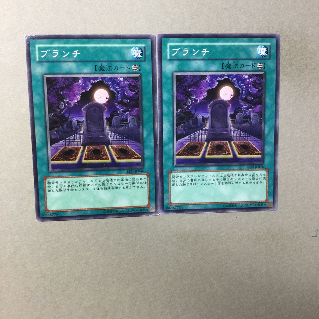 ブランチ　２枚