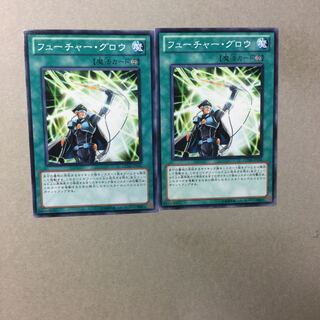 フューチャー・グロウ　２枚