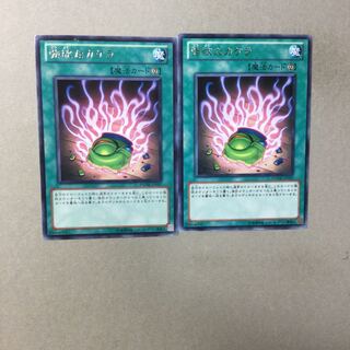 強欲なカケラ　２枚