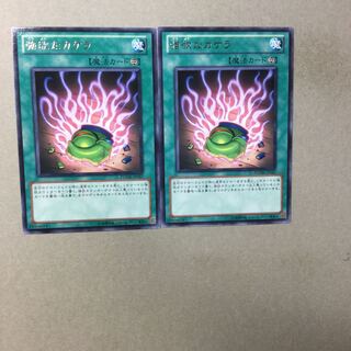 強欲なカケラ　２枚