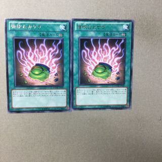 強欲なカケラ　２枚