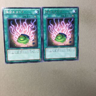 強欲なカケラ　２枚