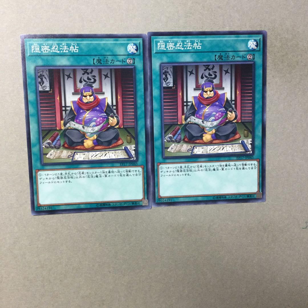 Ninjitsu Art Notebook 2 sheets