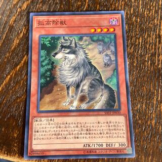 孤高除獣 ノーマルレア