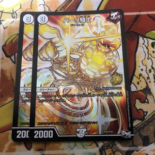 パーリ騎士　2枚セット