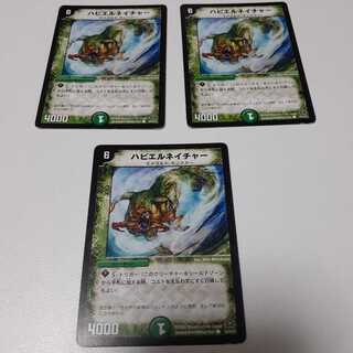 ハビエルネイチャー(C)