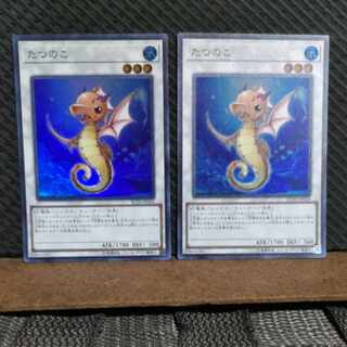 【ぽぽたん】遊戯王 -1916 たつのこ 2枚 スーパー