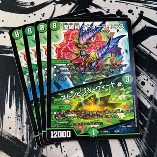 摩破目 ナトゥーラ・トプス｜ストンピング・ウィード