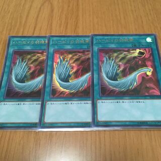 ハーピィの羽根帚 ウルトラレア3枚セット