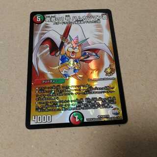 勇者の1号 ハムカツマン蒼